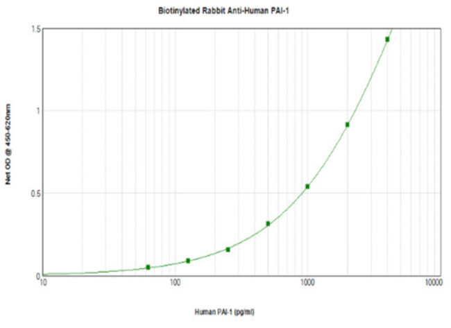 PAI1 Antibody in ELISA (ELISA)