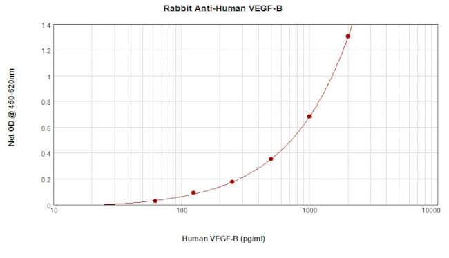 VEGFB Antibody in ELISA (ELISA)