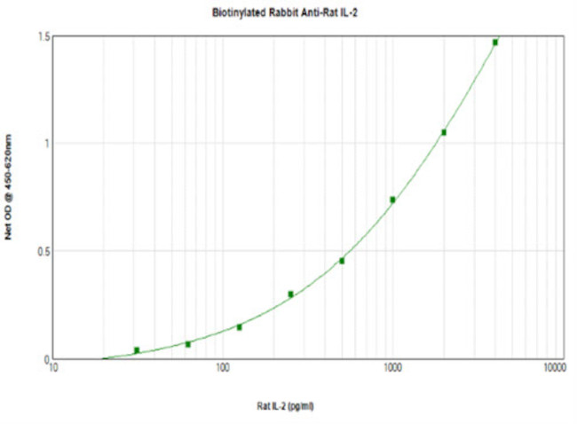 IL-2 Antibody in ELISA (ELISA)