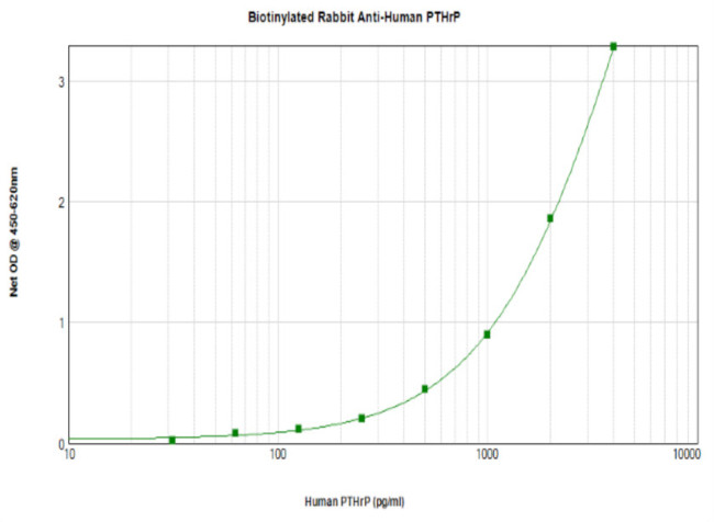 PTHLH Antibody in ELISA (ELISA)