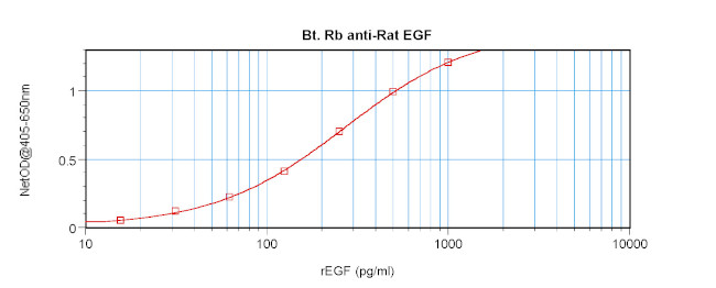 EGF Antibody in ELISA (ELISA)