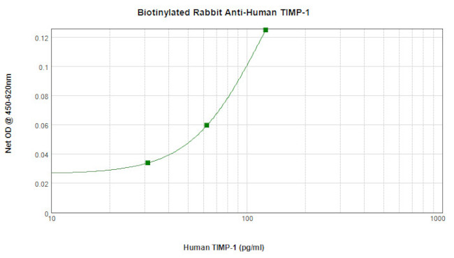 TIMP1 Antibody in ELISA (ELISA)