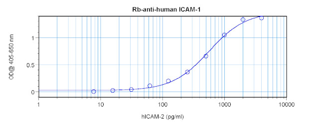 ICAM-1 Antibody in ELISA (ELISA)
