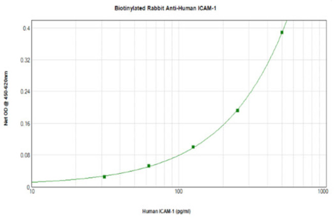 ICAM-1 Antibody in ELISA (ELISA)