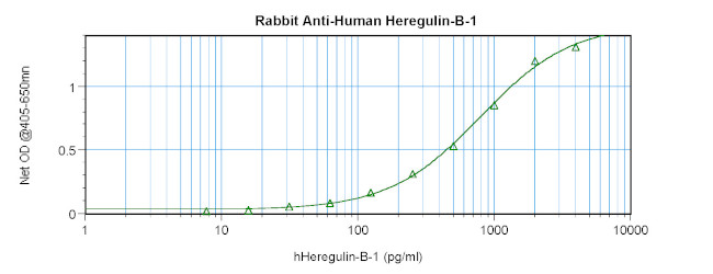 HRG beta-1 Antibody in ELISA (ELISA)