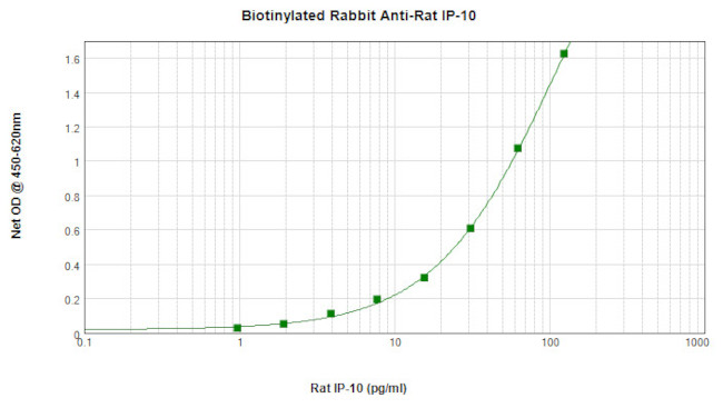 CXCL10 Antibody in ELISA (ELISA)