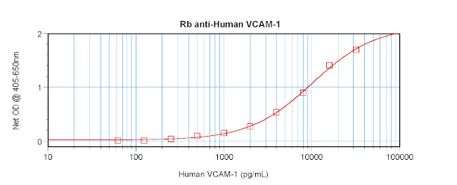 VCAM-1 Antibody in ELISA (ELISA)