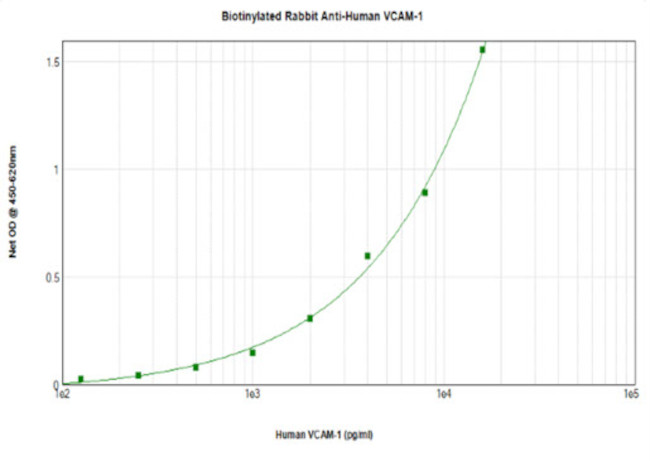 VCAM-1 Antibody in ELISA (ELISA)