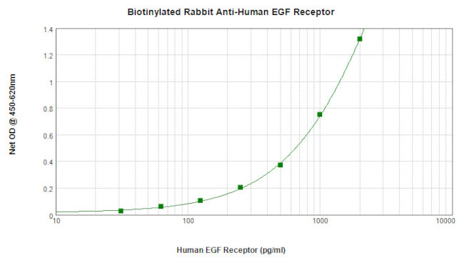 EGFR Antibody in ELISA (ELISA)