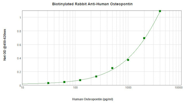 Osteopontin Antibody in ELISA (ELISA)