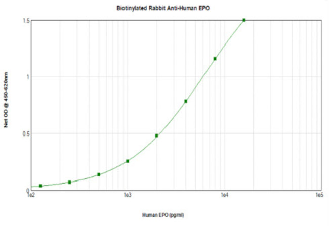 Epo Antibody in ELISA (ELISA)