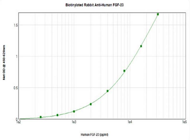 FGF23 Antibody in ELISA (ELISA)