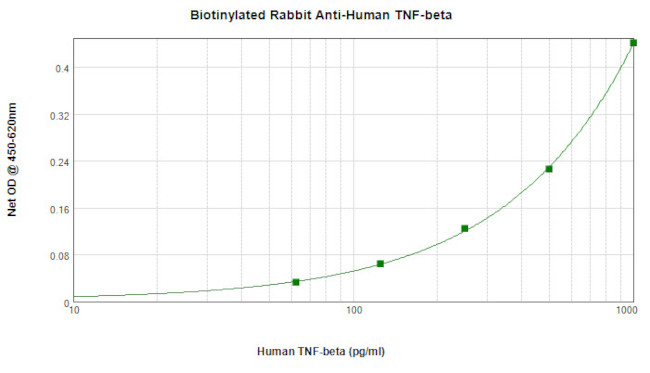 TNF beta Antibody in ELISA (ELISA)