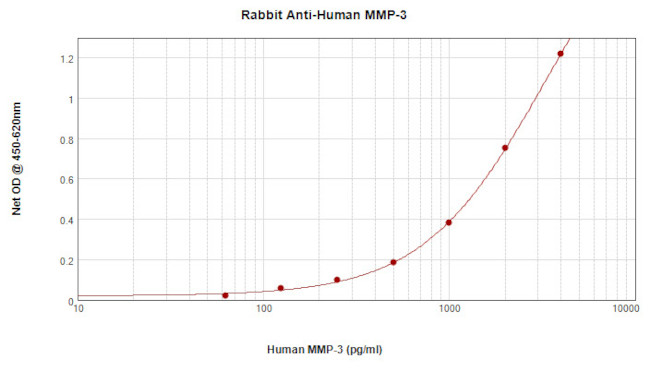 MMP3 Antibody in ELISA (ELISA)