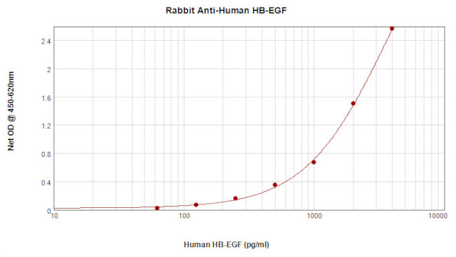 HBEGF Antibody in ELISA (ELISA)