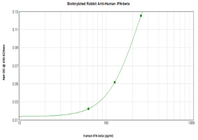 IFN beta Antibody in ELISA (ELISA)