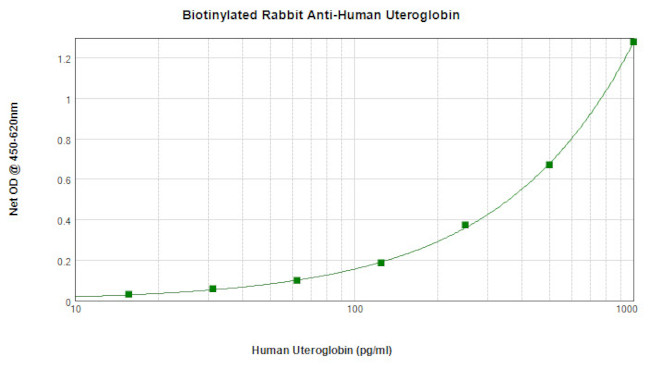 Uteroglobin Antibody in ELISA (ELISA)