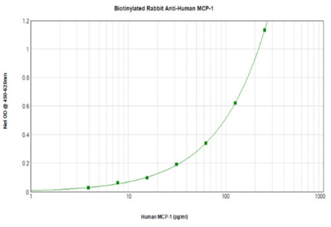 MCP-1 Antibody in ELISA (ELISA)