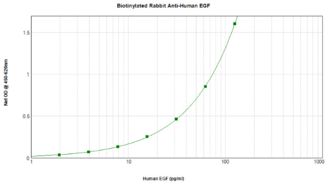 EGF Antibody in ELISA (ELISA)