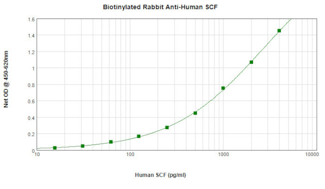 SCF Antibody in ELISA (ELISA)