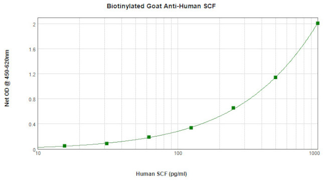 SCF Antibody in ELISA (ELISA)