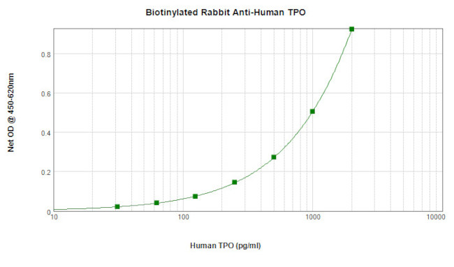 Thrombopoietin Antibody in ELISA (ELISA)