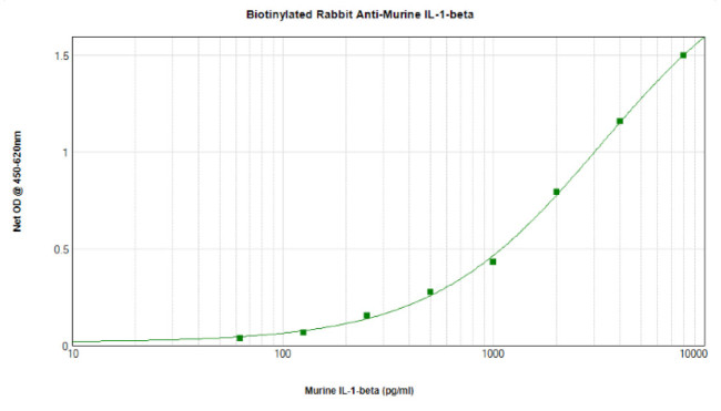 IL-1 beta Antibody in ELISA (ELISA)