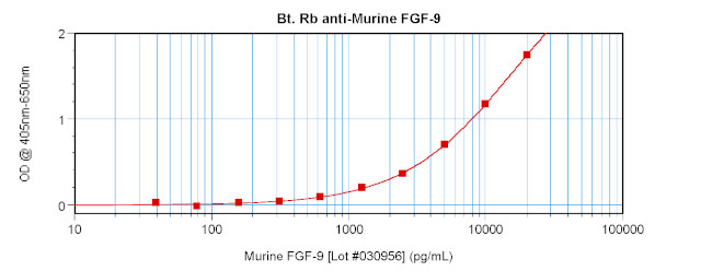 FGF9 Antibody in ELISA (ELISA)