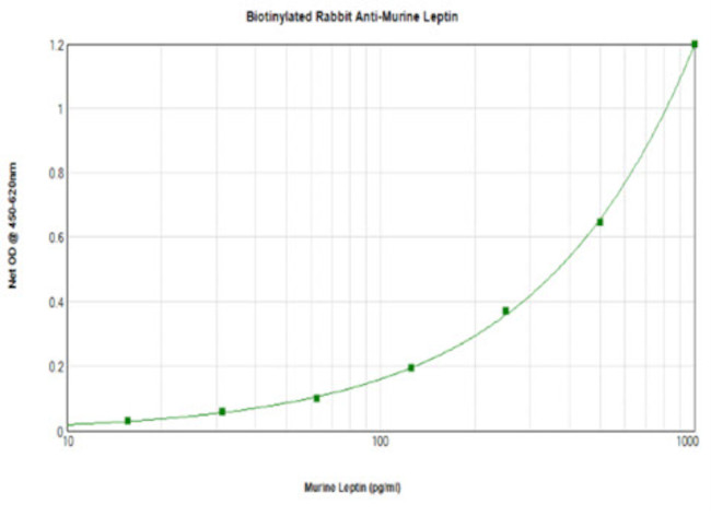 Leptin Antibody in ELISA (ELISA)