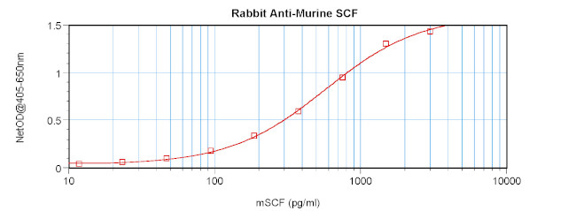 SCF Antibody in ELISA (ELISA)