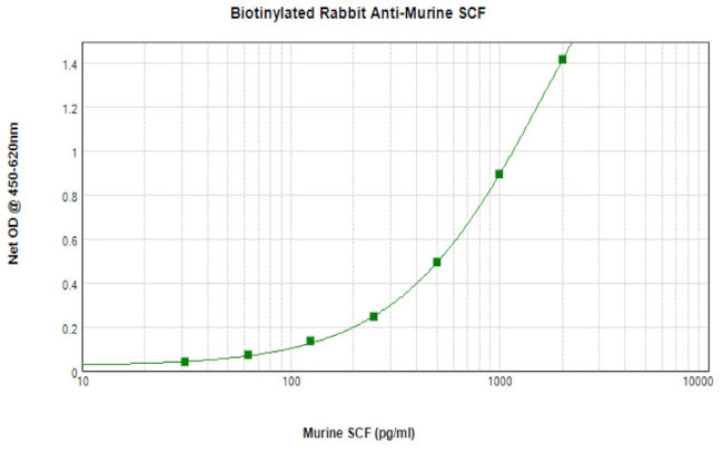 SCF Antibody in ELISA (ELISA)