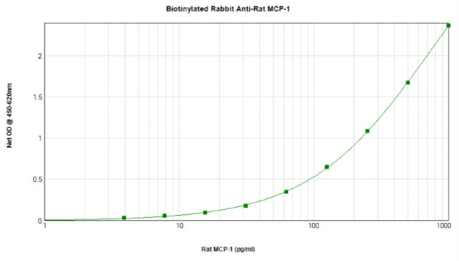 MCP-1 Antibody in ELISA (ELISA)