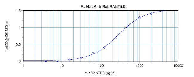 CCL5 (RANTES) Antibody in ELISA (ELISA)