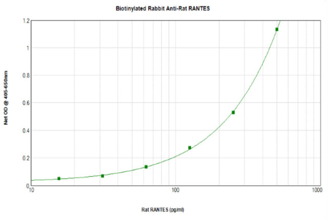 CCL5 (RANTES) Antibody in ELISA (ELISA)