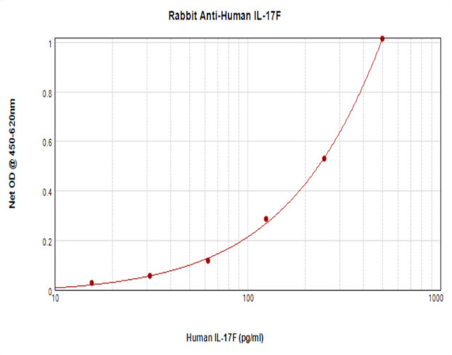 IL-17F Antibody in ELISA (ELISA)