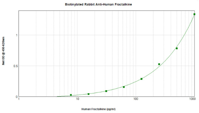 CX3CL1 Antibody in ELISA (ELISA)