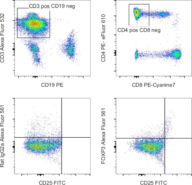 FOXP3 Antibody in Flow Cytometry (Flow)