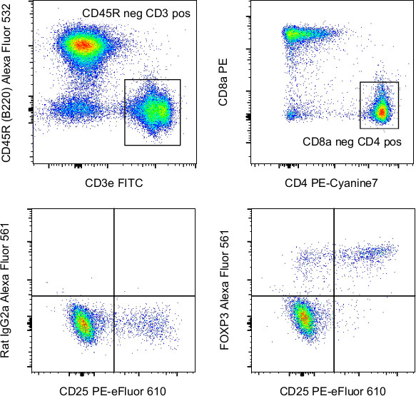 FOXP3 Antibody in Flow Cytometry (Flow)