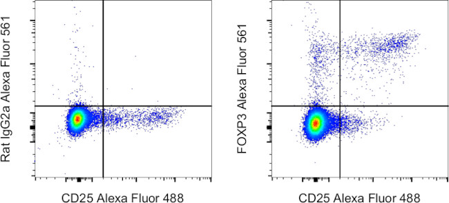 FOXP3 Antibody in Flow Cytometry (Flow)