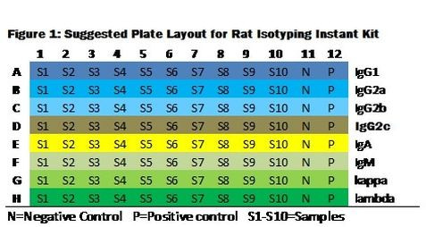 Rat Ig Isotyping Instant ELISA™ Kit