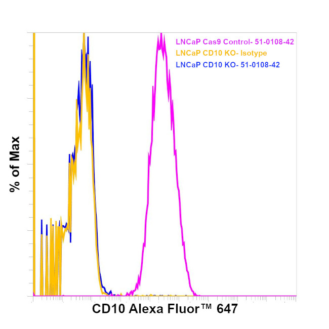 CD10 Antibody in Flow Cytometry (Flow)