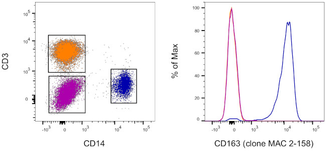 CD163 Antibody