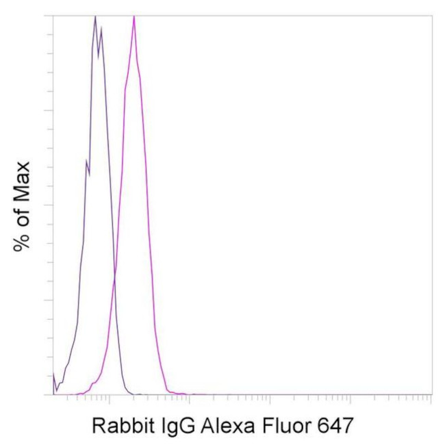 Rabbit IgG Isotype Control in Flow Cytometry (Flow)