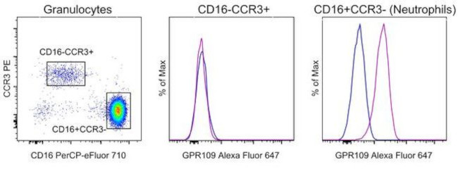 GPR109 Antibody in Flow Cytometry (Flow)