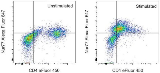 Nur77 Antibody in Flow Cytometry (Flow)