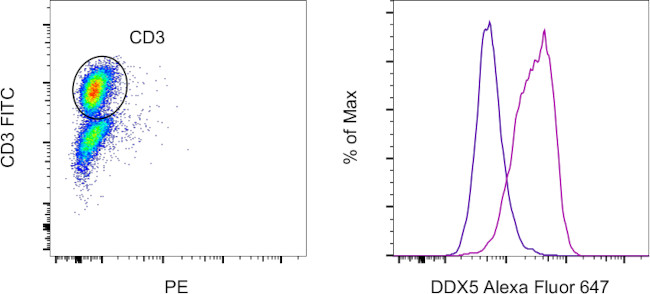 DDX5 Antibody in Flow Cytometry (Flow)