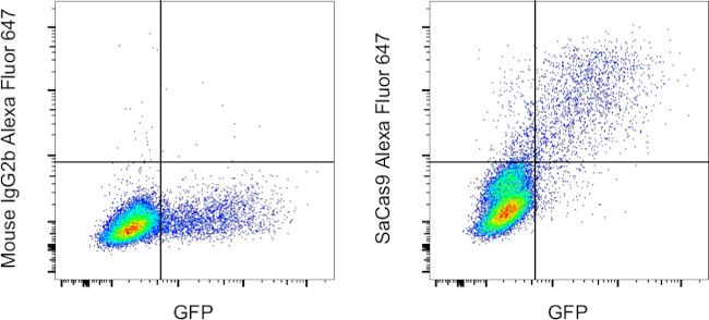 Staphylococcus aureus Cas9 Antibody in Flow Cytometry (Flow)