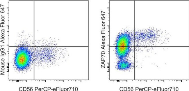 ZAP-70 Antibody in Flow Cytometry (Flow)