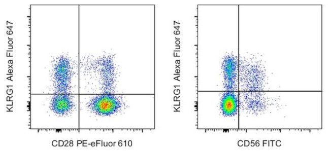 KLRG1 Antibody in Flow Cytometry (Flow)