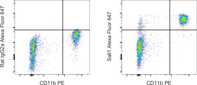 Sall1 Antibody in Flow Cytometry (Flow)